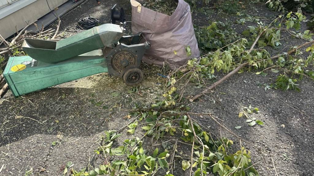 Weshalb die Frau in die Maschine griff, ist gemäss der Polizei noch unklar.