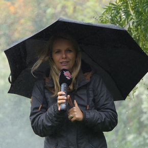 Der Springbrunnen in Richterswil