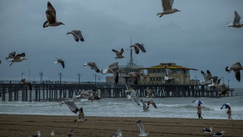 Möwen fliegen neben dem Santa Monica Pier nach heftigen Regenfällen in Santa Monica, Kalifornien. Foto: Ethan Swope/AP/dpa