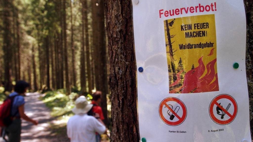 Mehrere Feuerverbots-Verstösse in Rapperswil-Jona SG