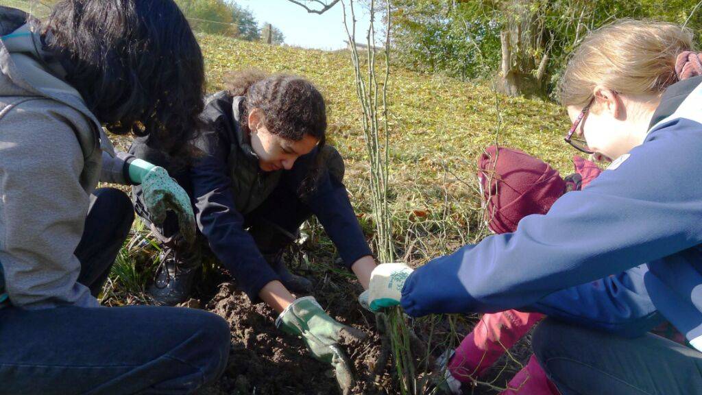 270 Freiwillige haben am dritten nationalen Heckentag an 18 Standorten in der Schweiz Heckenpflanzen gepflanzt. Sie leisteten damit einen Beitrag für die Biodiversität.