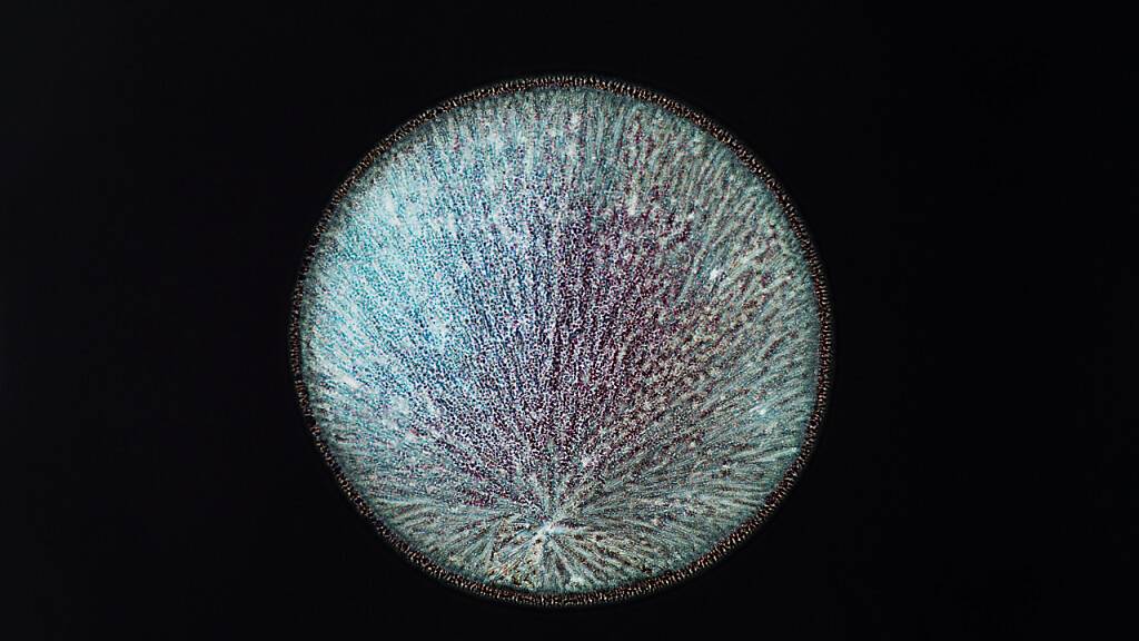 Die Fotografie «Dopamine» der Serie «All You Can Feel» von Sarah Schönfeld ist Teil der Ausstellung «Techno Worlds». Schönfeld fotografierte verschiedene Substanzen wie körpereigenen Neurotransmitter oder Drogen.