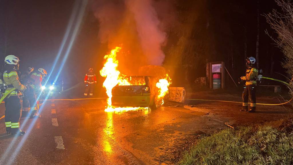 Auto brennt in Egerkingen aus