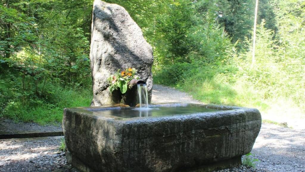 Mystischer Kraftort: Der Glasbrunnen im Bremgartenwald.