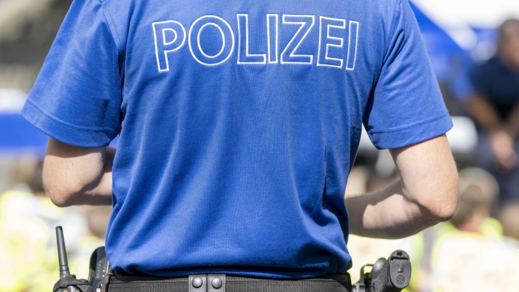 Die Luzerner Polizei stand am Dienstagmorgen nach einem Verkehrsunfall in Gunzwil im Einsatz. (Symbolbild)