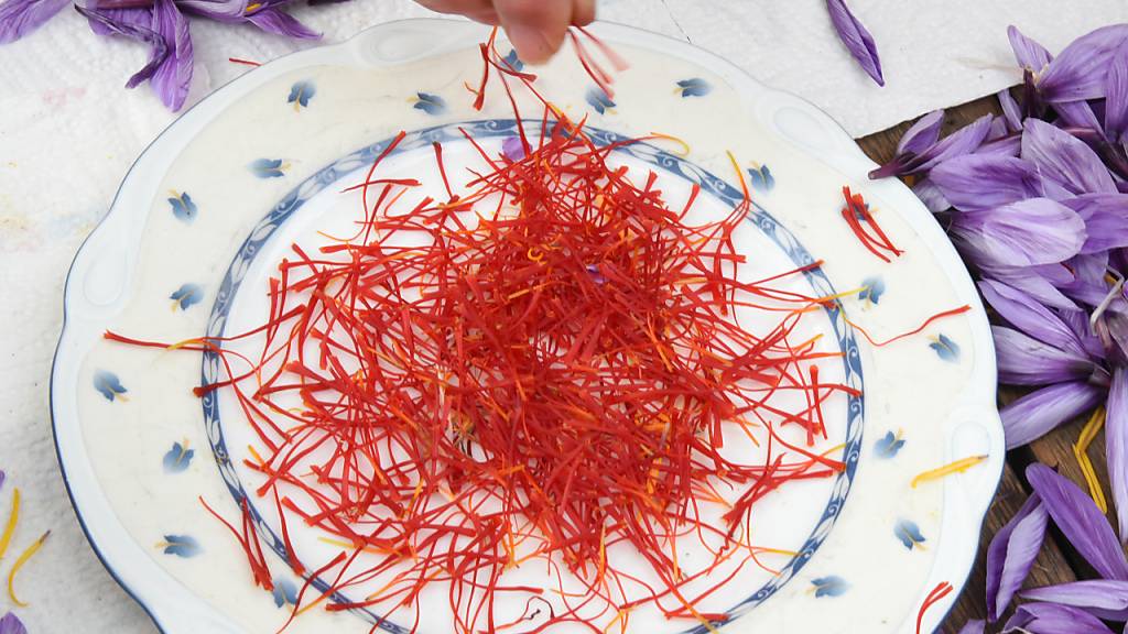 Safran ist wertvoll. Eine Person streckte ihr Gewürz mit Farbstoffen, um noch besser zu verdienen. Das Kantonale Labor Zürich überführte sie. (Symbolbild)