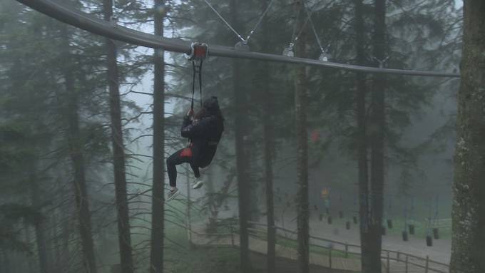 Mit dem «Dragon Glider» durch den Wald der Fräkmündegg