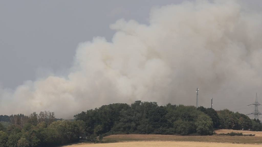 Waldbrand im Saarland unter Kontrolle