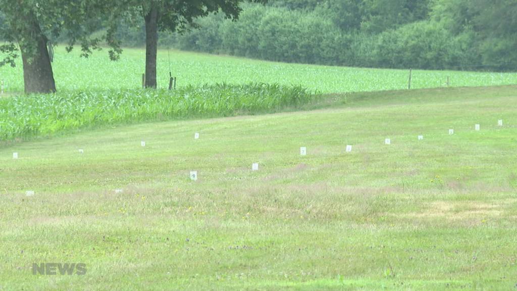 Tödlich verletzt: Ein Solothurner stirbt beim Hornussen - seine Vereinskollegen trauern