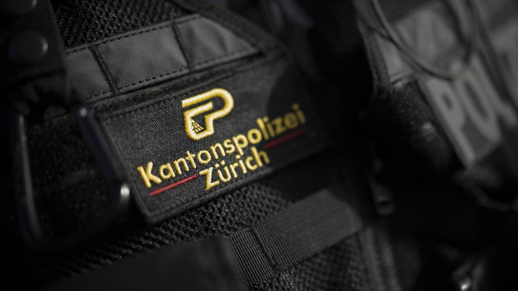 Zürcher Polizisten nahmen in Unterengstringen einen mutmasslichen Schützen fest. (Symbolbild)