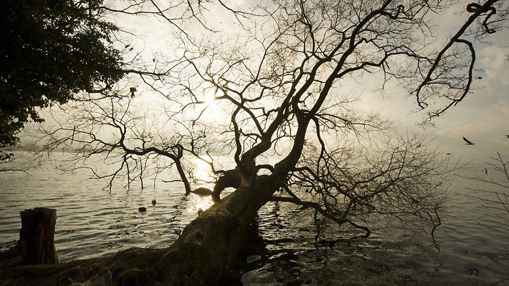 Die starken Winde in Kombination mit dem hohen Pegelstand des Sempachersees führen zu grossen Schäden am Seeuferweg in Sempach. (Symbolbild)
