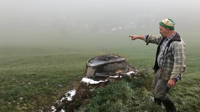 Streit um Baum in Untereggen eskaliert