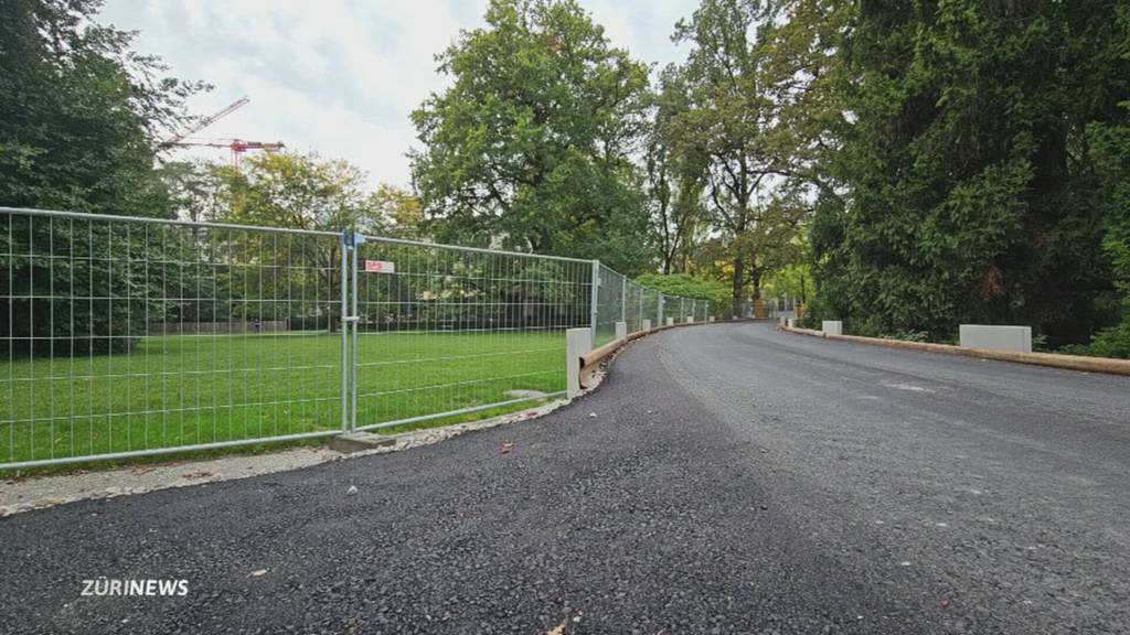 Asphaltstreifen quer durch Rentenwiese in Zürich