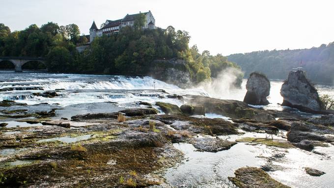 Mann wird den Rheinfall runtergespült – Polizei findet Leiche