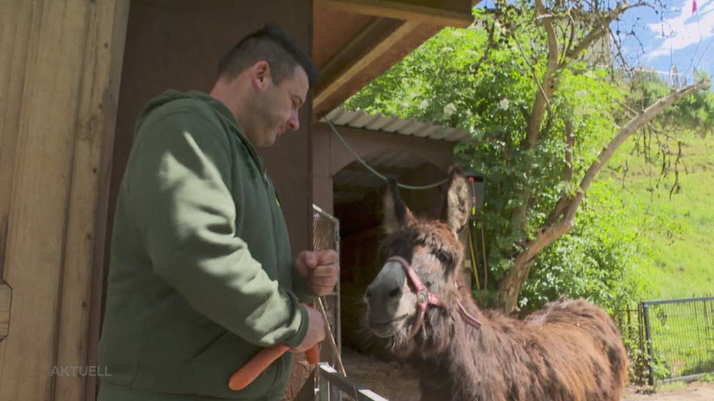 Schönster Schwinger: Am Aargauer KAntonalen entscheidet nicht nur die Kraft