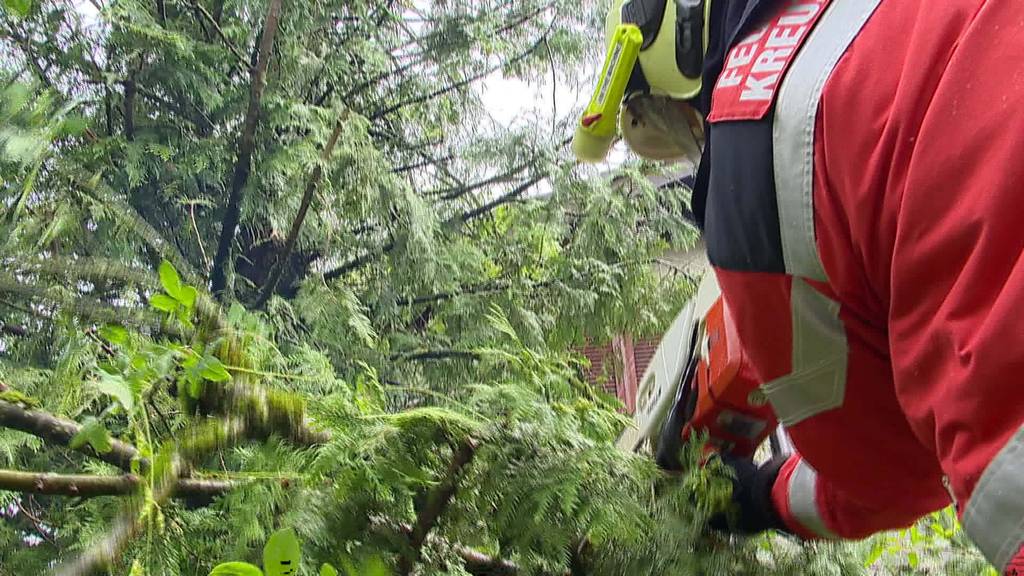 Über 10'000 Blitze: Gewitter entlädt sich über dem Thurgau