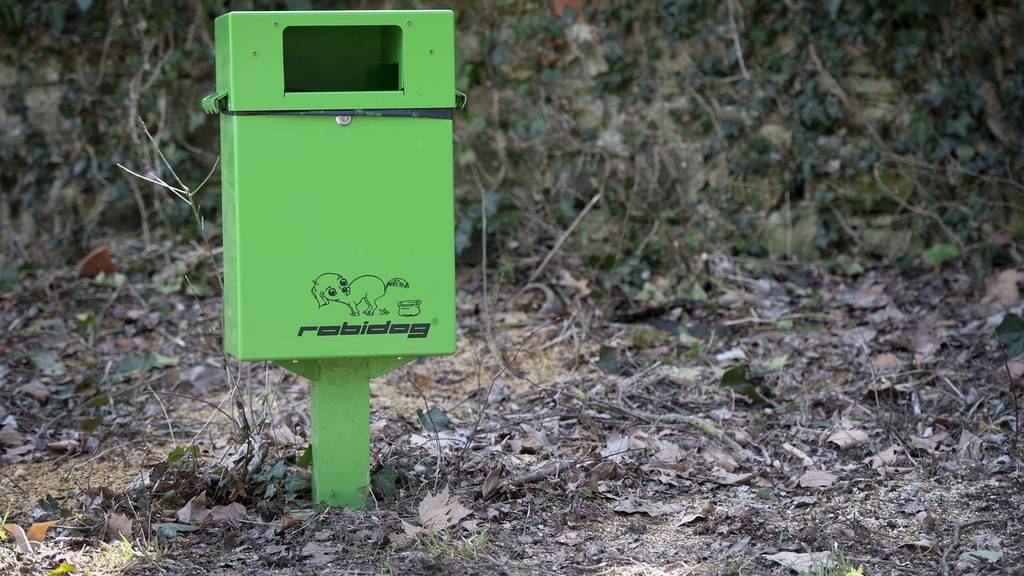 Digital: Dog Toilets