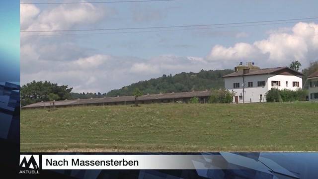Schlagzeilen