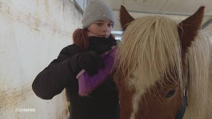 Neues Ungemach für den Ponyhof in Wülflingen