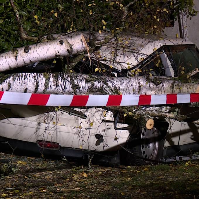 Umgestürzter Baum zertrümmert in Schaffhausen ein Auto