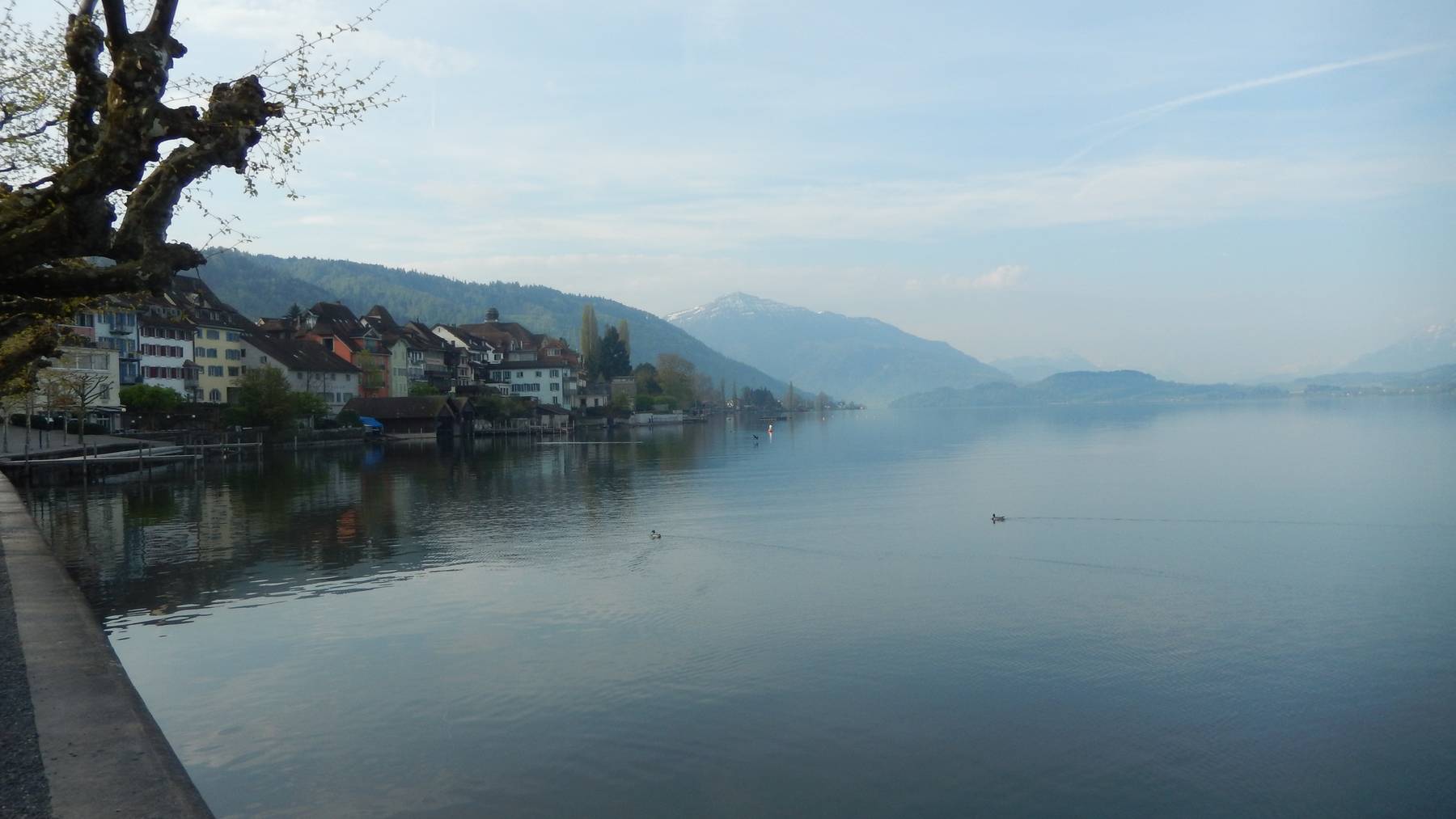 Zug: Mehrere Verletzte nach Prügelei am See