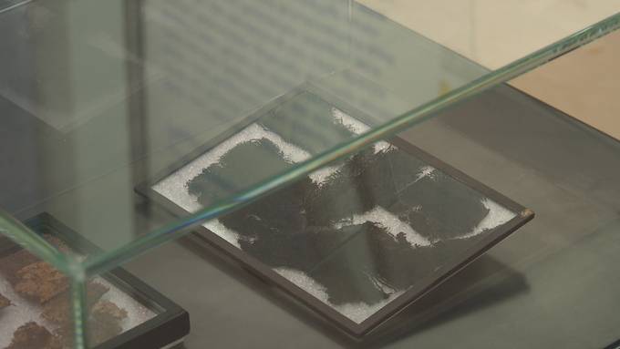 Mittelalter am Bodensee: Antike Fässer und Münzen im Museum