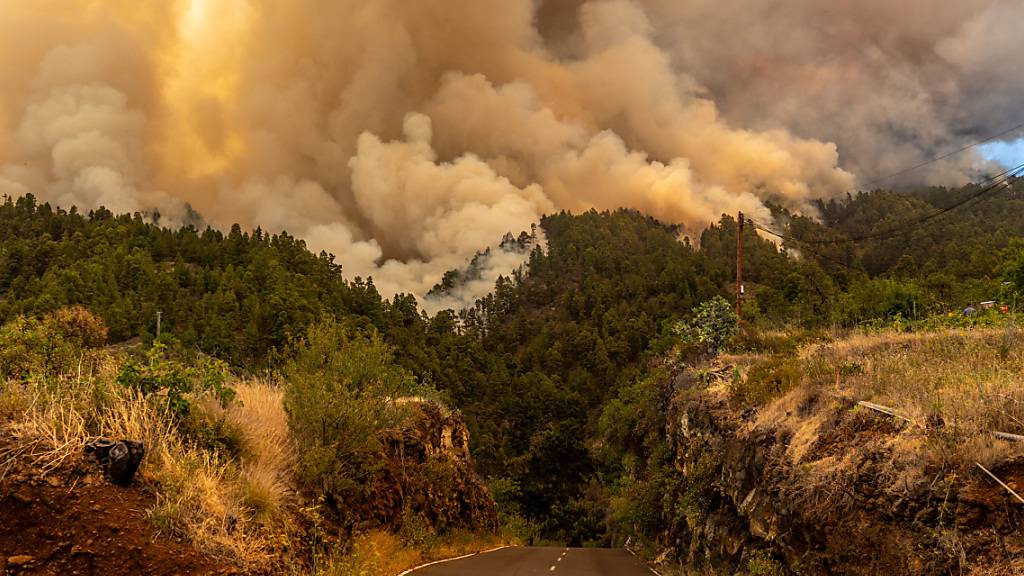 Wegen eines Waldbrands auf der zu Spanien gehörenden Kanareninsel La Palma sind mindestens 500 Menschen aus ihren Häusern in Sicherheit gebracht worden. Foto: Europa Press/EUROPA PRESS/dpa