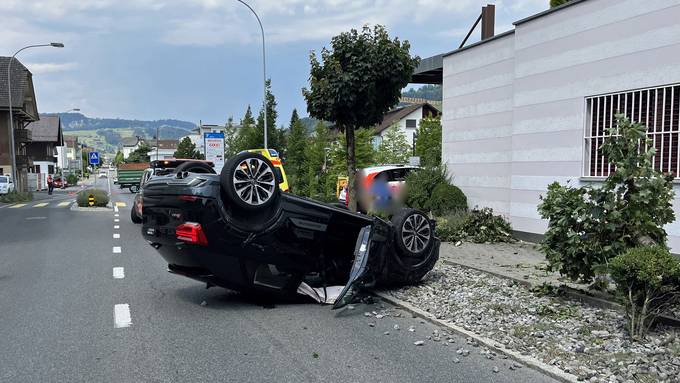 Von Wespe gestochen: Autofahrerin baut Unfall