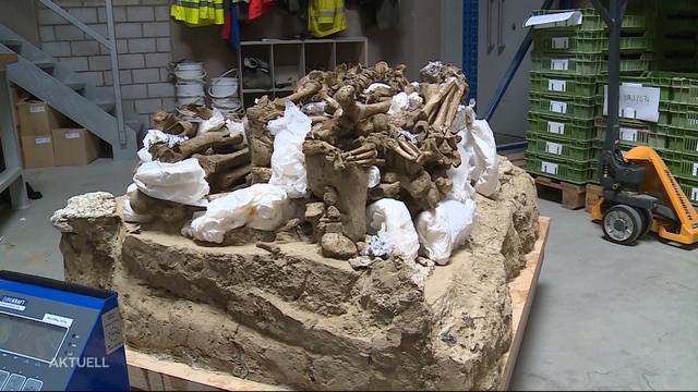 Steinzeitliche Gräber zurück in Lenzburg