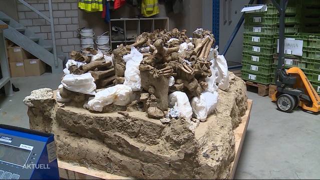 Steinzeitliche Gräber zurück in Lenzburg
