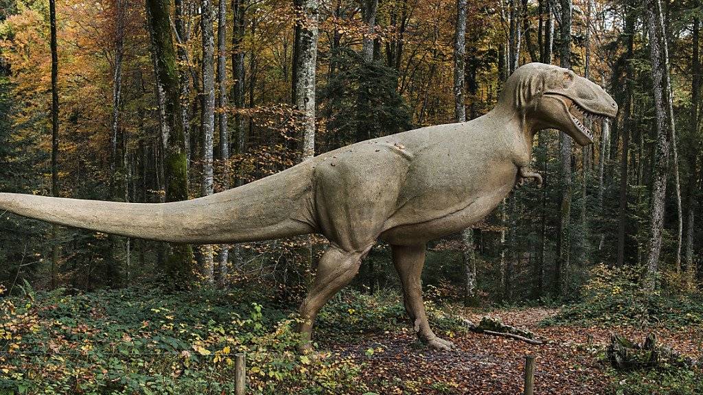 Ähnlich wie Tyrannosaurus rex dürfte sich auch Jurabrontes fortbewegt haben. Das Modell steht im prähistorischen Park von Reclere im Kanton Jura. (Archivbild)