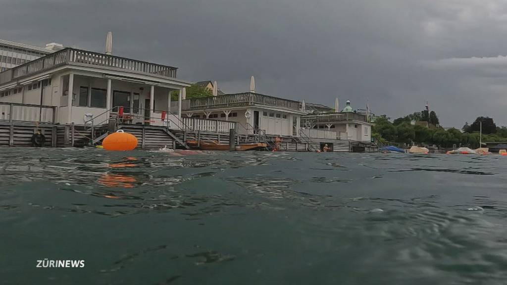 Täglich überqueren Schwimmbegeisterte den Zürichsee