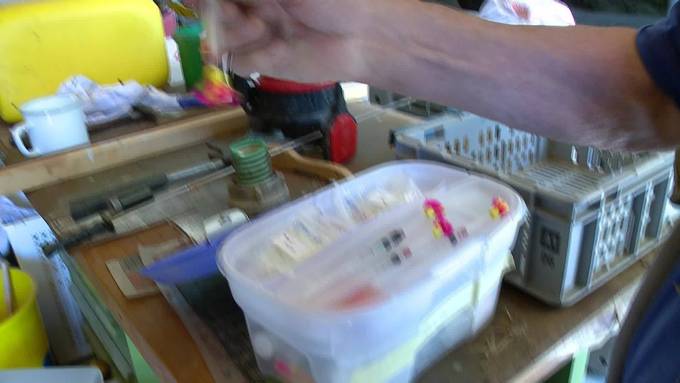 Nach Tiger-Attacke in ZH: Plättli-Zoo zu Schusswaffeneinsatz