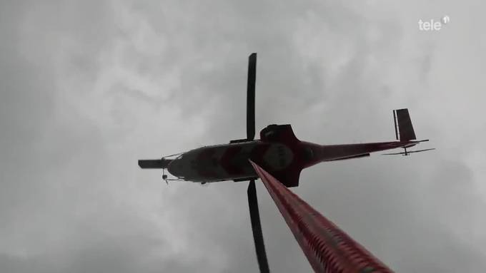 Superpuma als Forsthelfer