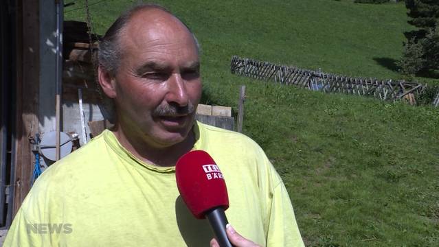 Bauer ledig sucht die grosse Liebe