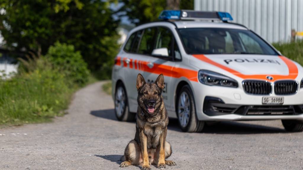 Diensthund Erol stellte einen der mutmasslichen Diebe.