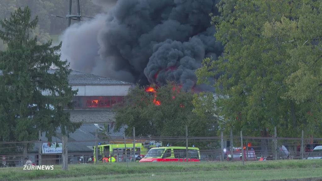 Grossbrand in Buchs: Autoverwertungsanlage steht in Flammen