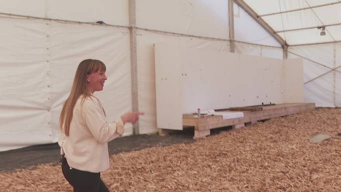 Luga wartet neu mit Laufstall auf