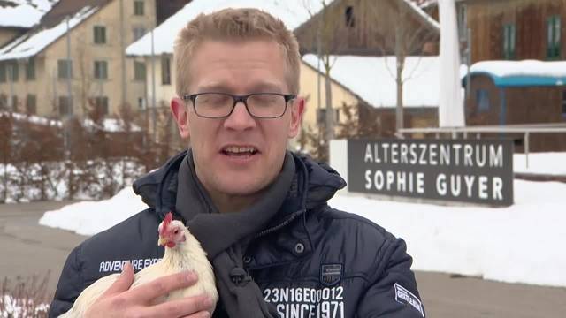 Teaser CheckUp Tiergestützte Intervention