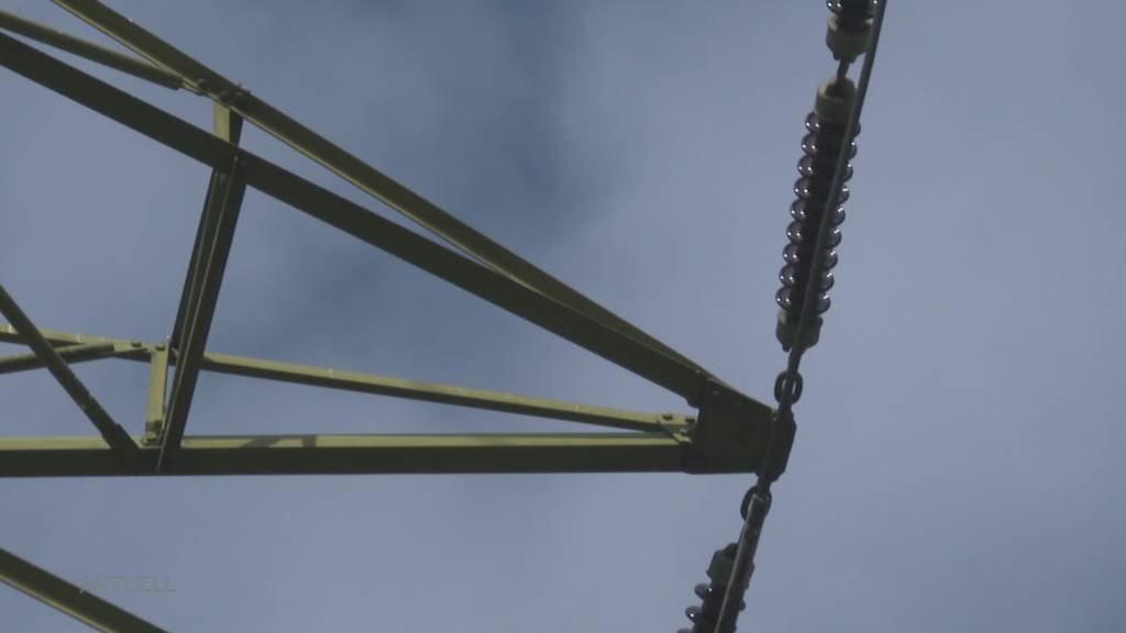«Bitte macht Einsprache»: Vorgedruckter Brief soll Starkstromleitung Reusstal verhindern