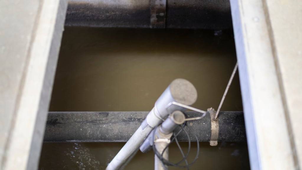 Der Schwyzer Regierungsrat entzieht der Ara Höfe die Baubewilligung für ein Neubauprojekt. (Symbolbild)