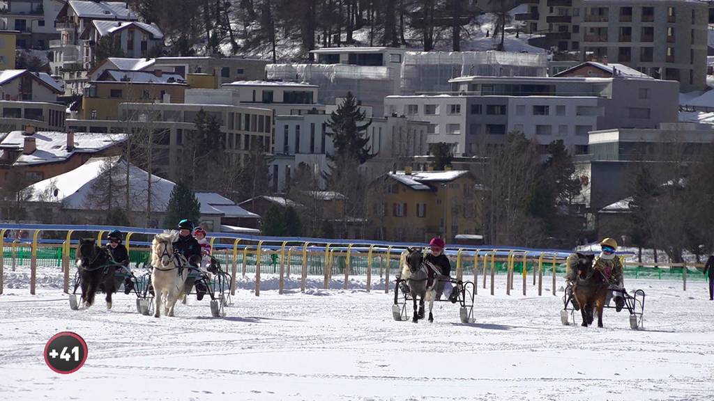 Ob auf Pony oder Pferd: Pferdesport auf dem Eis ist angesagt