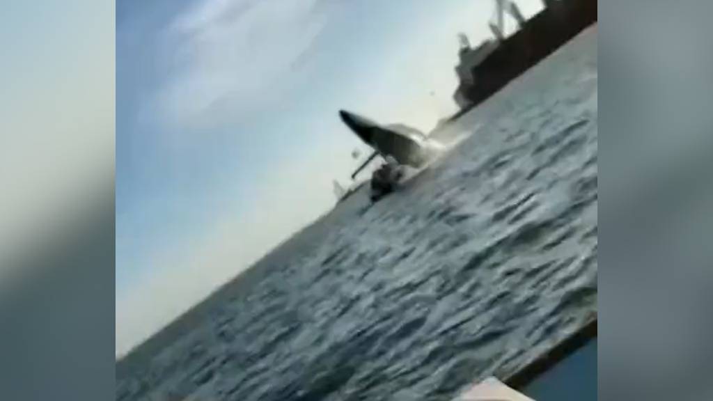 Buckelwal springt auf Boot in Mexiko