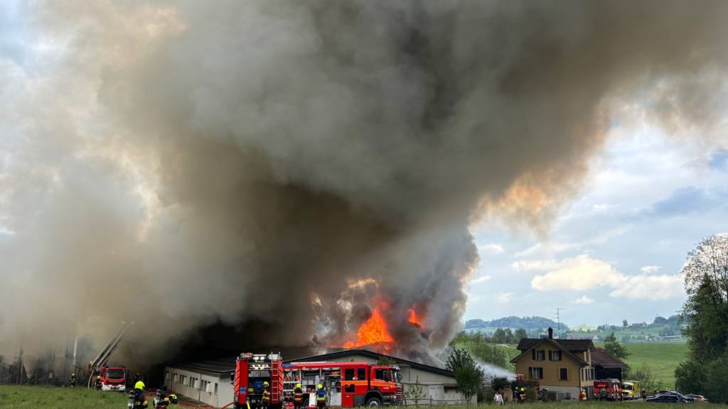 Am 8. Mai brach in einem Schweinestall in Gossau ein Brand aus. Rund 800 Tiere starben. (Archivbild)