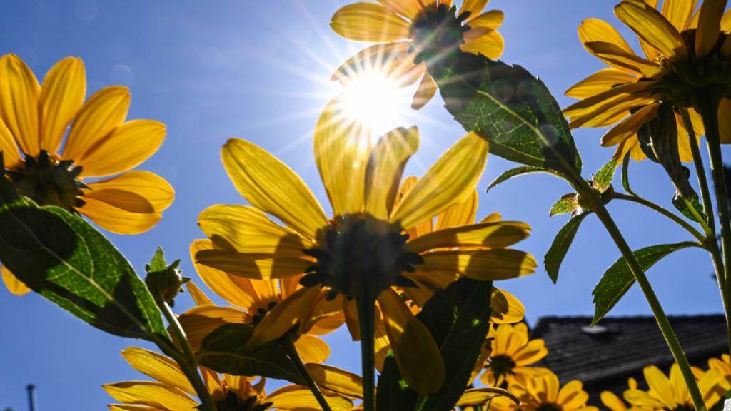 Sonne satt: Das letzte Septemberwochenende hat Temperaturrekorde geknackt. (Archivbild)