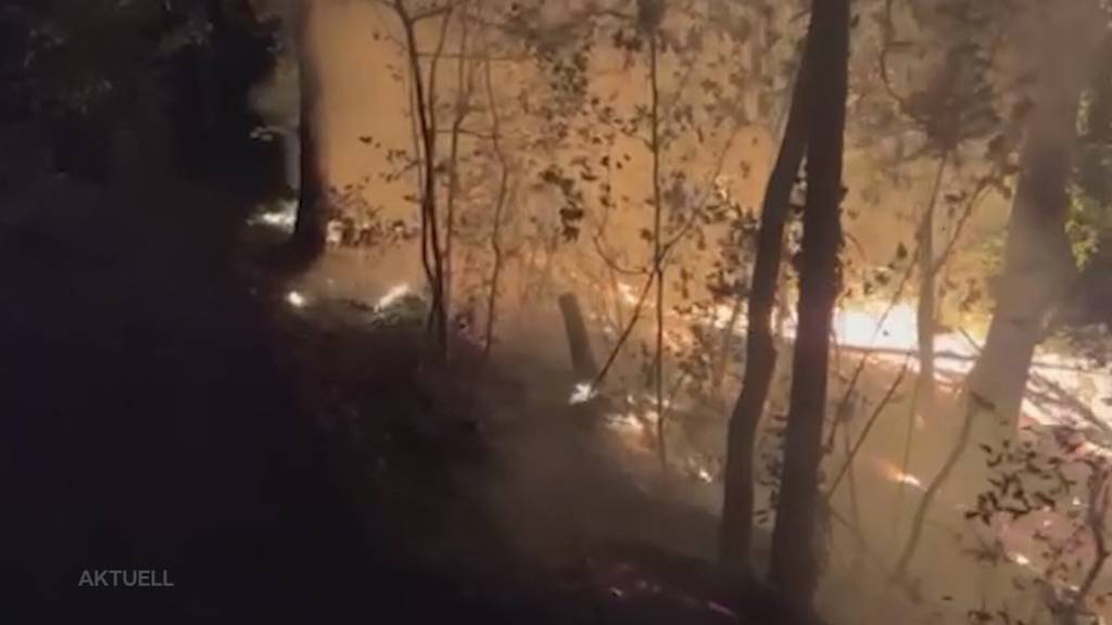 Waldbrand: Feuerwehr kämpft in Möriken gegen die Flammen