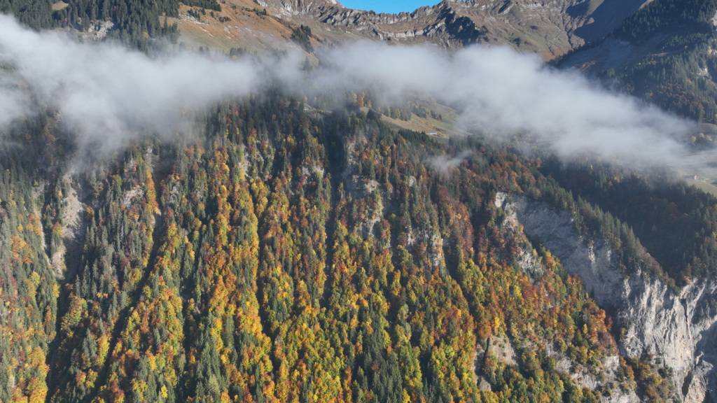 Frau am Brienzer Rothorn im Berner Oberland tödlich verunglückt