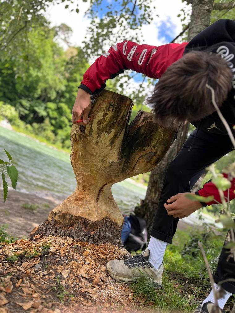 Holzherz Eichholz einzeichnen