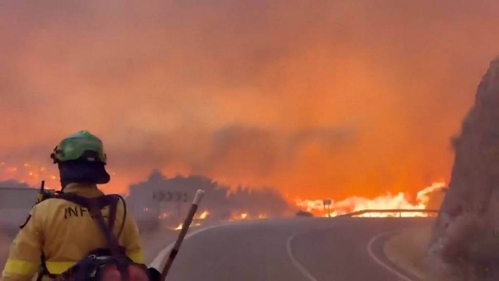 Heftiger Waldbrand im Süden Spaniens fordert mindestens 12 Tote