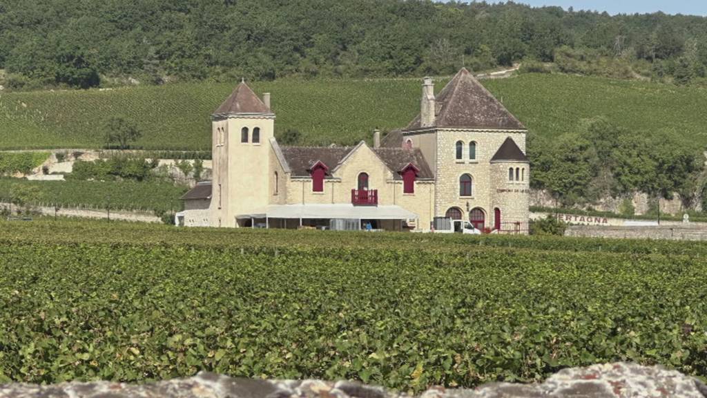 In Vino Veritas - Burgund